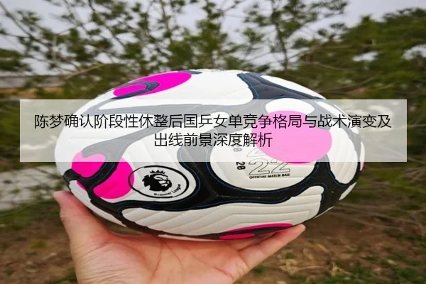 陈梦确认阶段性休整后国乒女单竞争格局与战术演变及出线前景深度解析